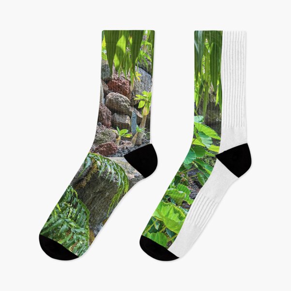 Item preview, Botanic Garden | 'Hawaiian' Scenery designed and sold by Hays Graphics.