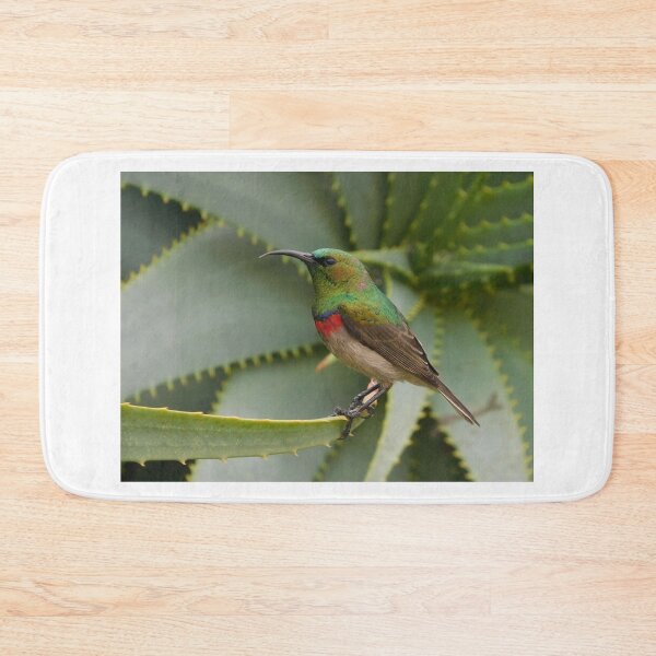 Item preview, Southern Double-collared Sunbird designed and sold by Zoeljartwork.