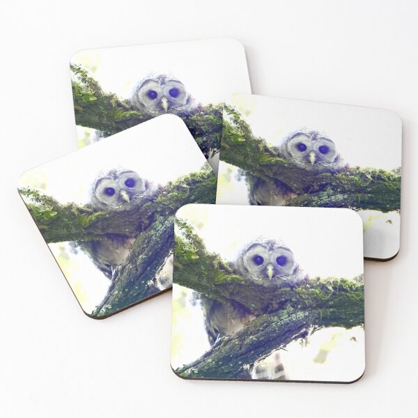 Item preview, owlet watching designed and sold by RichImage.