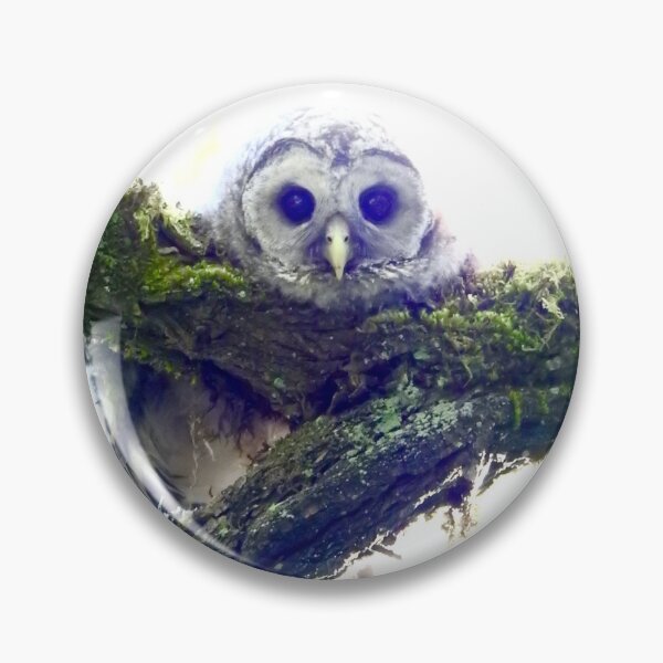 Item preview, owlet watching designed and sold by RichImage.