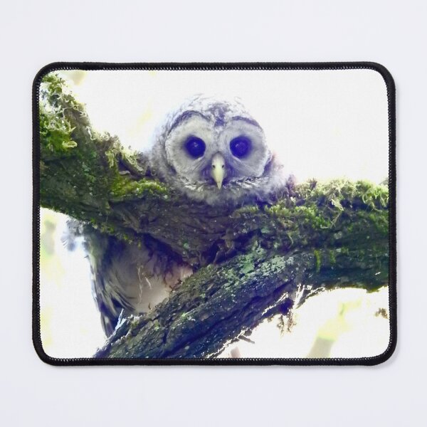 Item preview, owlet watching designed and sold by RichImage.