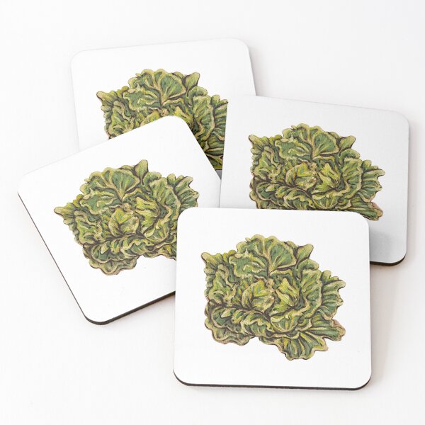 Item preview, Lettuce Head designed and sold by alsbydesign.