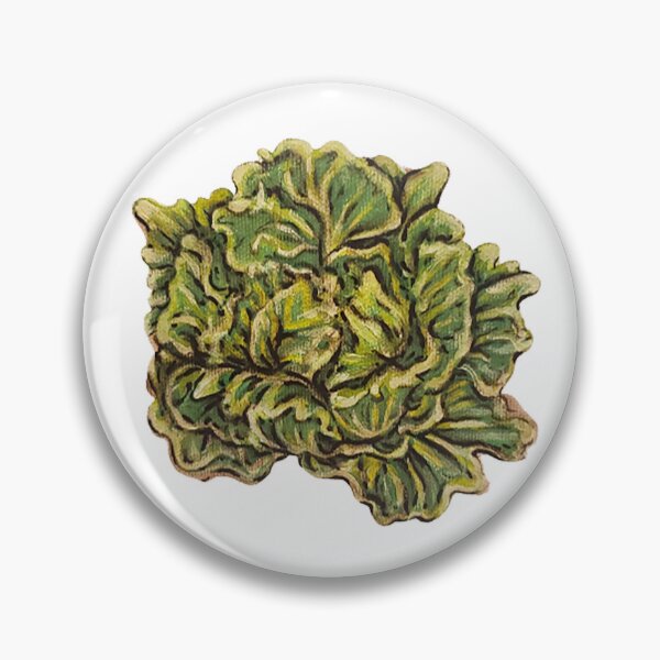 Artikelvorschau, Lettuce Head entworfen und verkauft von alsbydesign.