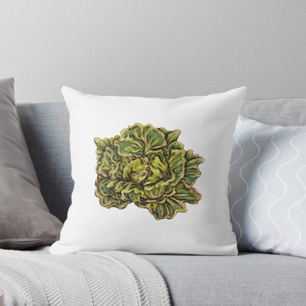 Item preview, Lettuce Head designed and sold by alsbydesign.