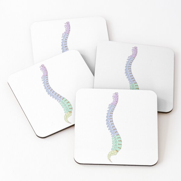 Item preview, spinal cord—colour coded designed and sold by torontosticker.
