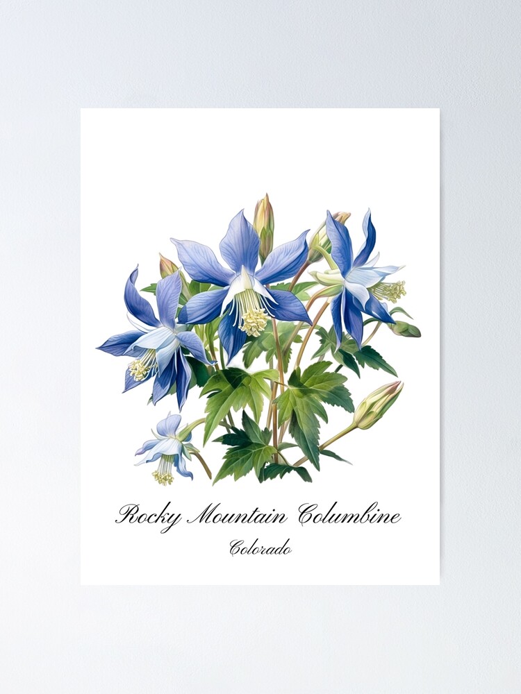 Colorado Columbines T-Shirt - Rocky Mountain Wildflower Colorado Columbines T-Shirt - Rocky Mountain Wildflower
