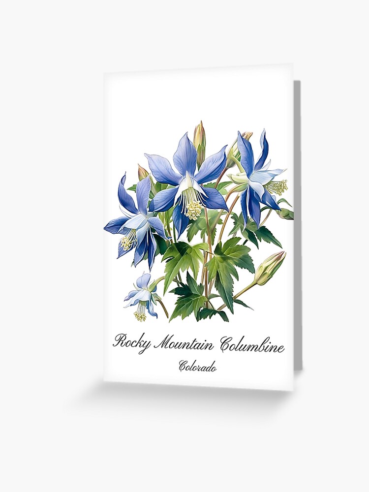 Colorado Columbines T-Shirt - Rocky Mountain Wildflower Colorado Columbines T-Shirt - Rocky Mountain Wildflower