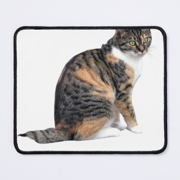 Item preview, cute cat designed and sold by Tymek12.