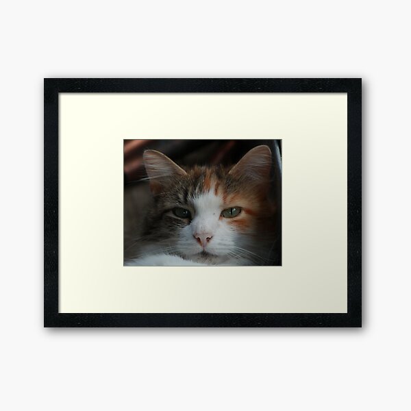 Callie Framed Art Print