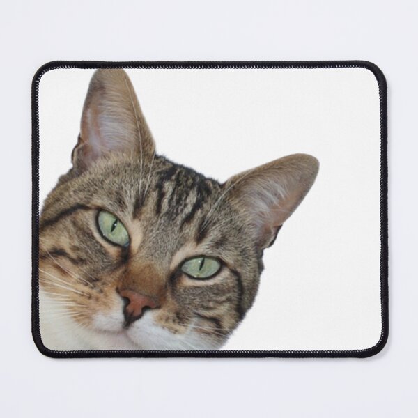 Item preview, cat designed and sold by Tymek12.