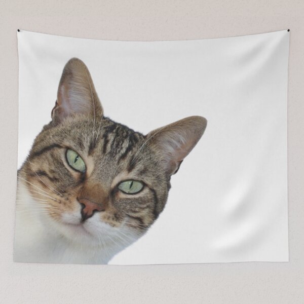 Item preview, cat designed and sold by Tymek12.