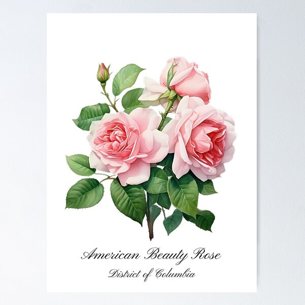 U.S. deals State Flowers Watercolor Poster Collection