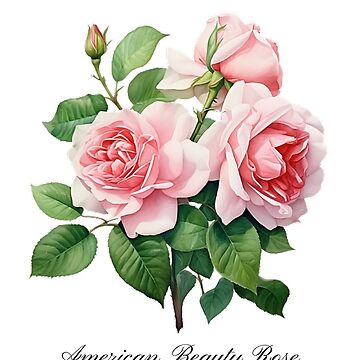 2024 U.S. State Flowers Watercolor Poster Collection