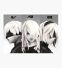 Nier Portrait Set Photographic Print