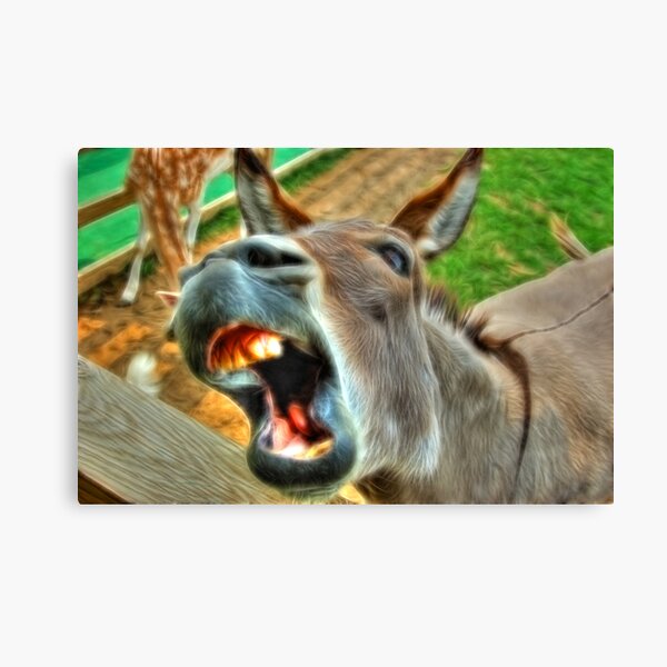 Crazy Ass v2 Canvas Print