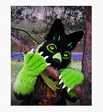 Furry Fursuit Ferox The Wolf Design Photographic Print
