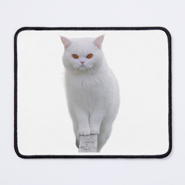 Item preview, cat addict designed and sold by Tymek12.