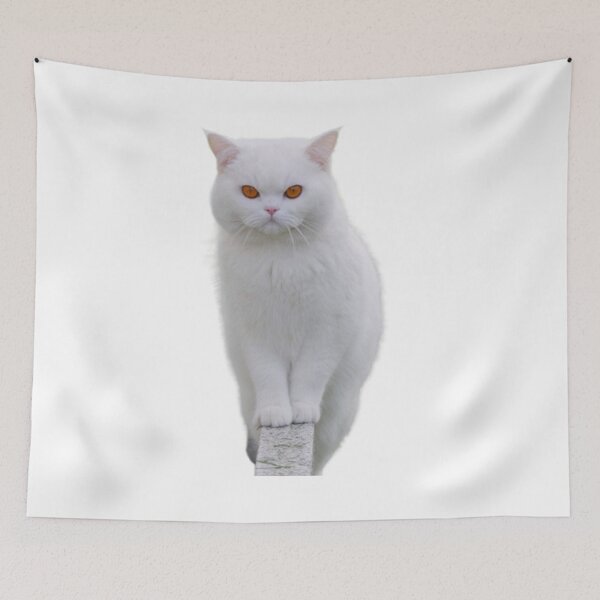 Item preview, cat addict designed and sold by Tymek12.