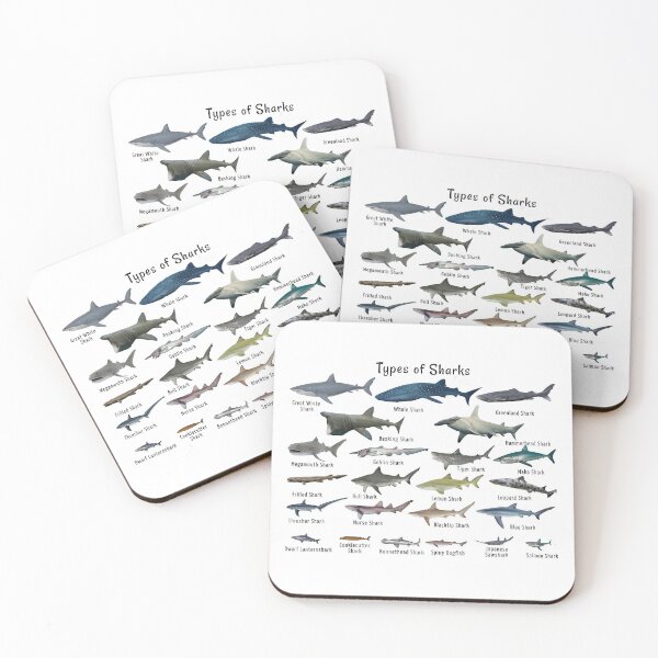 Item preview, Sharks of the World Types of sharks whale shark hammerhead shark tiger designed and sold by AzalaiBubbles.