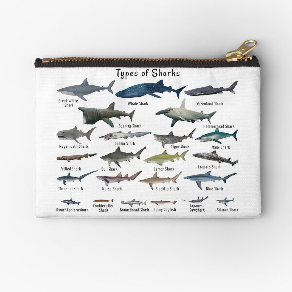 Vista previa del artículo con la obra «Tiburones del Mundo Tipos de tiburones tiburón ballena tiburón martillo tigre», diseñado y vendido por AzalaiBubbles.