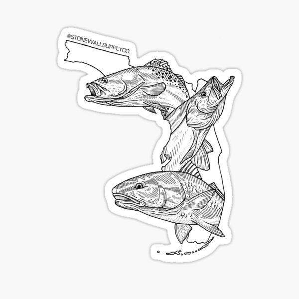 Red Drum Fish Gifts & Merchandise | Redbubble