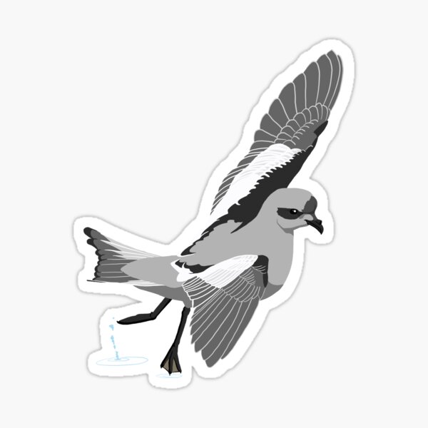 Item preview, Fork-Tailed Storm-Petrel designed and sold by BennuBirdy.