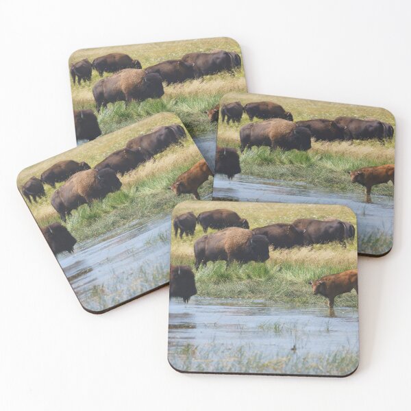 Item preview, Manada de bisontes junto a un lago con ternera designed and sold by Vivar Photo.