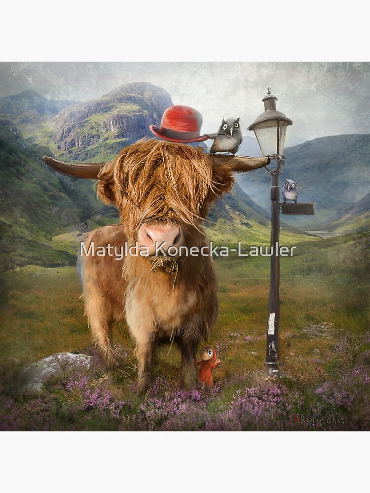 "Highland Cow" by matylda
