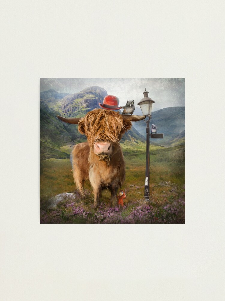 Alternate view of "Highland Cow" Photographic Print