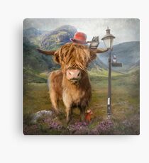 "Highland Cow" Metal Print