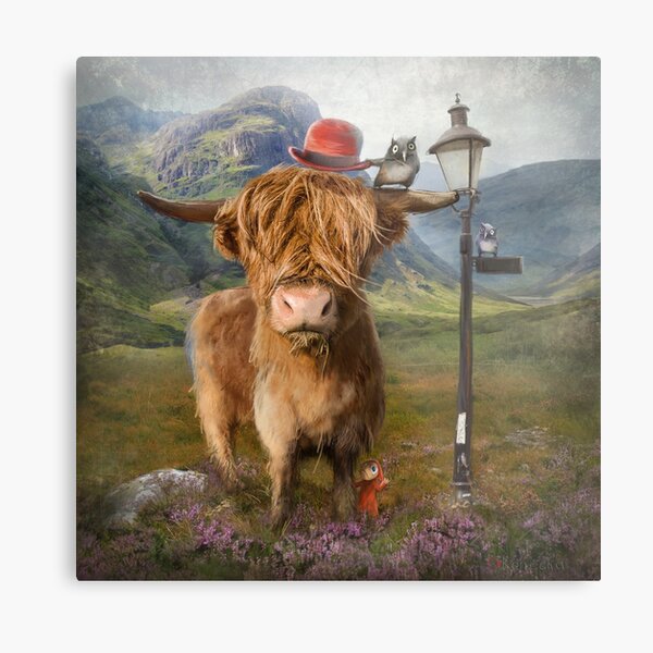 "Highland Cow" Metal Print