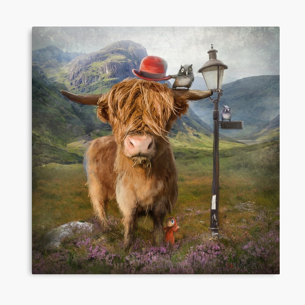 "Highland Cow" Canvas Print