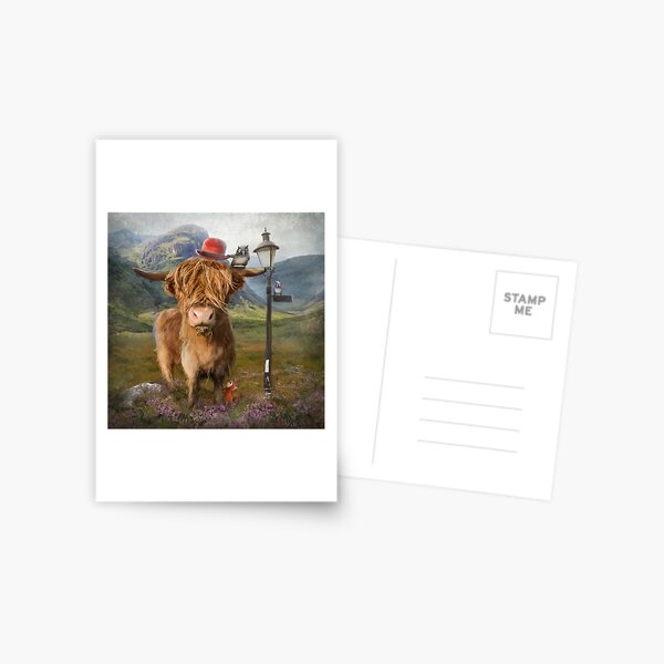 "Highland Cow" Postcard