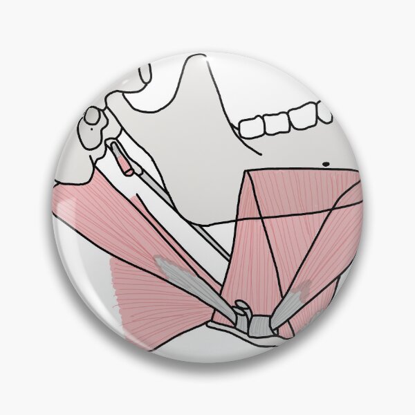 Item preview, Submandibular Muscles designed and sold by Chironotetaking.