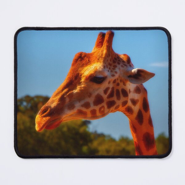 Item preview, Giraffe profile designed and sold by DVart-nz.