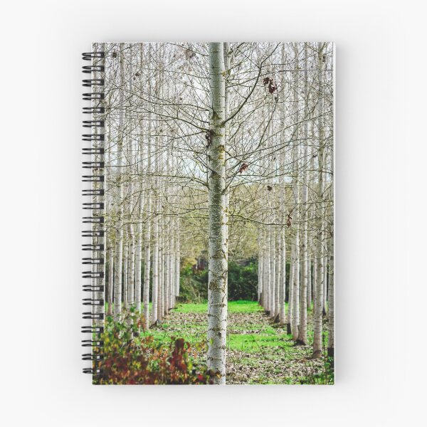 Item preview, Strait lines of wooded area, autumnal landscape, France designed and sold by Alexander Sorokopud.