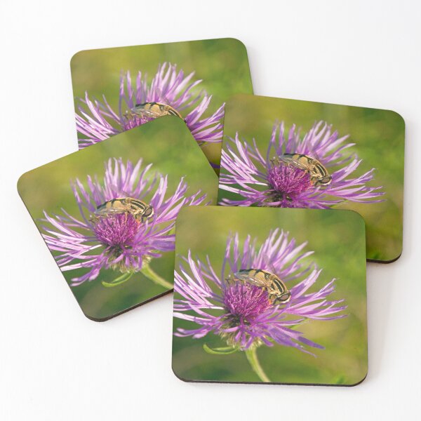 Item preview, A Hoverfly on a Greater Knapweed flower in a meadow designed and sold by Cameranick.