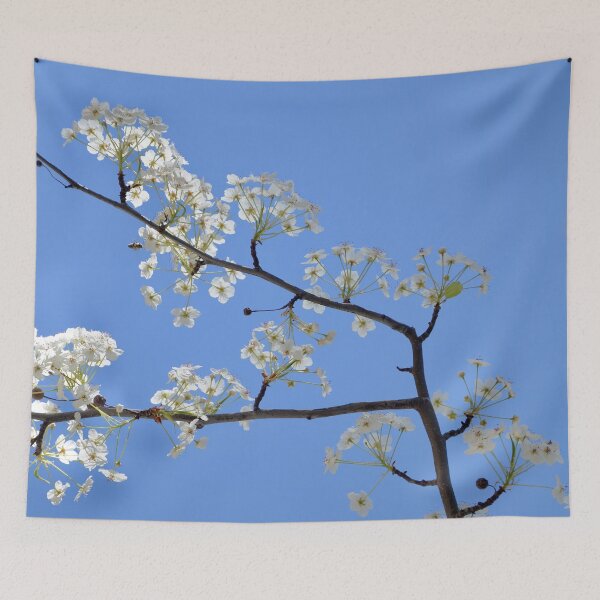 Item preview, Sunny Plum Blossom Variation 1 - Nature designed and sold by joejiing.