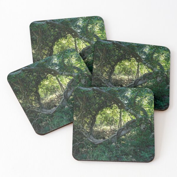 Item preview, Wilderness Window - Forest Bathing in a Chaparral Thicket designed and sold by Georgia Mizuleva.