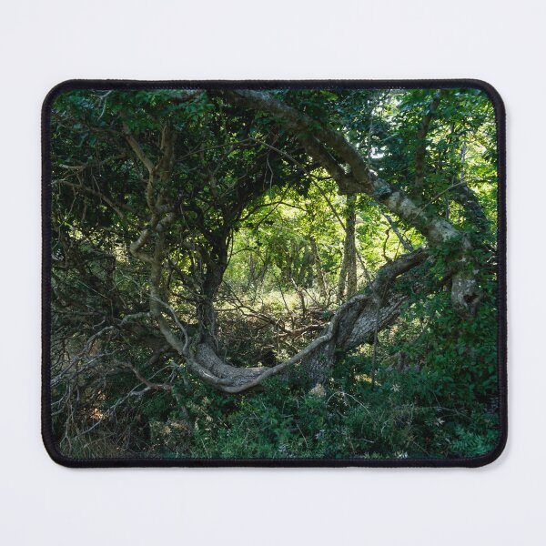 Item preview, Wilderness Window - Forest Bathing in a Chaparral Thicket designed and sold by Georgia Mizuleva.