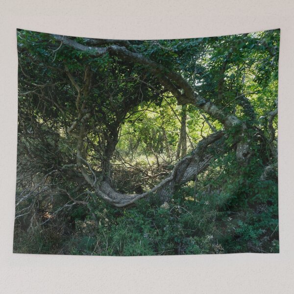 Item preview, Wilderness Window - Forest Bathing in a Chaparral Thicket designed and sold by Georgia Mizuleva.