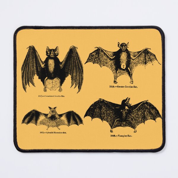 Item preview, Bat Friends designed and sold by summersOVER.
