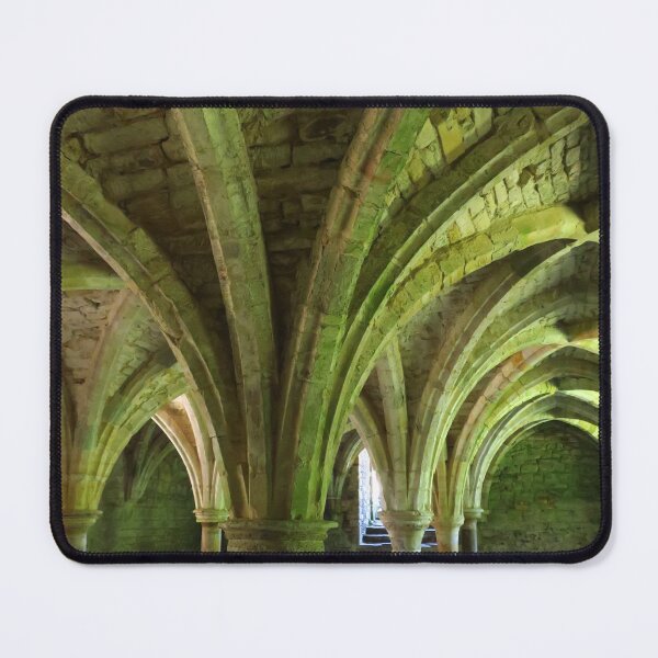 Item preview, Inside East Range Cloisters, Battle Abbey designed and sold by wiggyofipswich.
