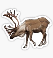 Caribou Sticker