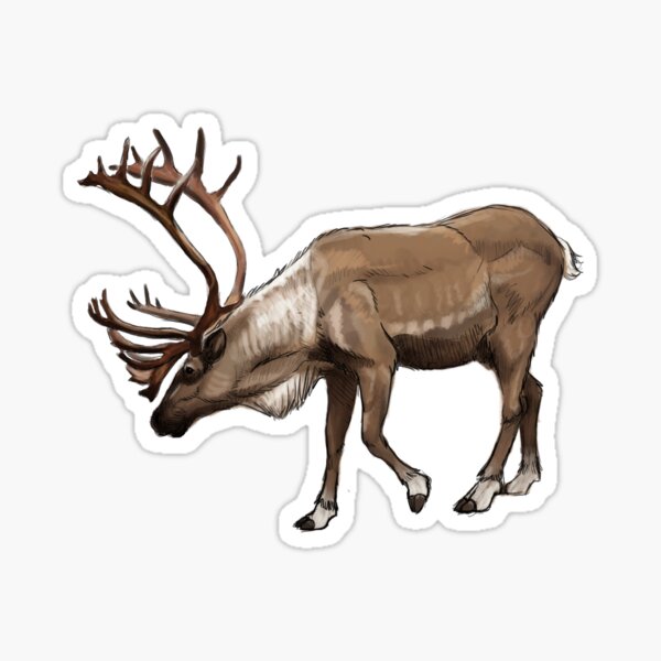 Caribou Sticker