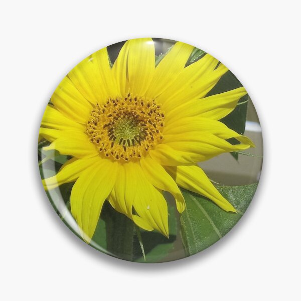 Artikelvorschau, Sonnenblume entworfen und verkauft von Hely01.