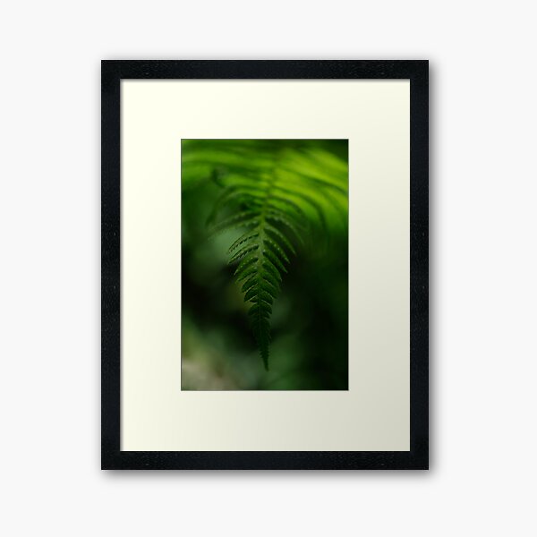 Alone in the shade Framed Art Print