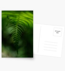 Alone in the shade Postcards