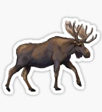 Moose Sticker