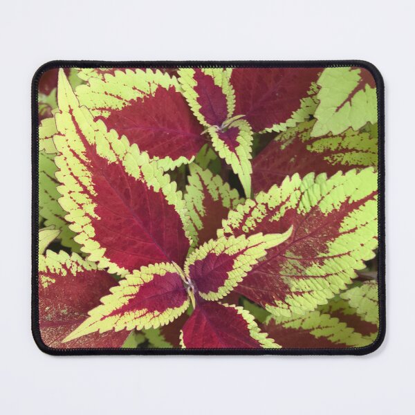 Item preview, Crimson Green Leaves Variable - Nature designed and sold by joejiing.